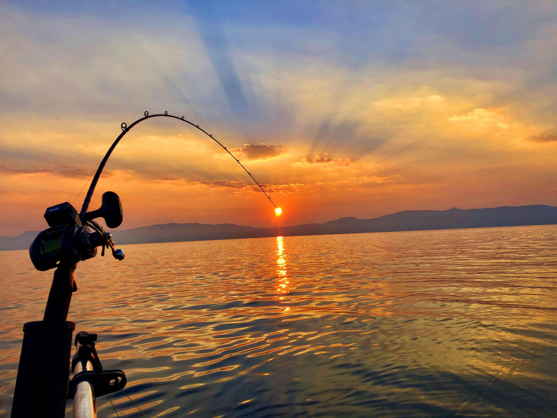 Fishing Activity